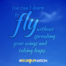 Learn to Fly Quote